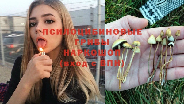PSILOCYBIN Михайловск