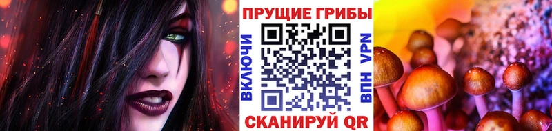 Псилоцибиновые грибы прущие грибы  цены наркотик  Зеленогорск 