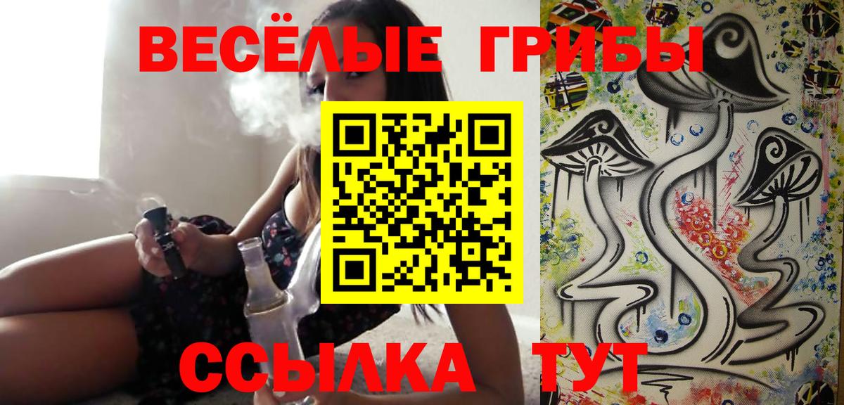 Псилоцибиновые грибы мицелий Зеленогорск